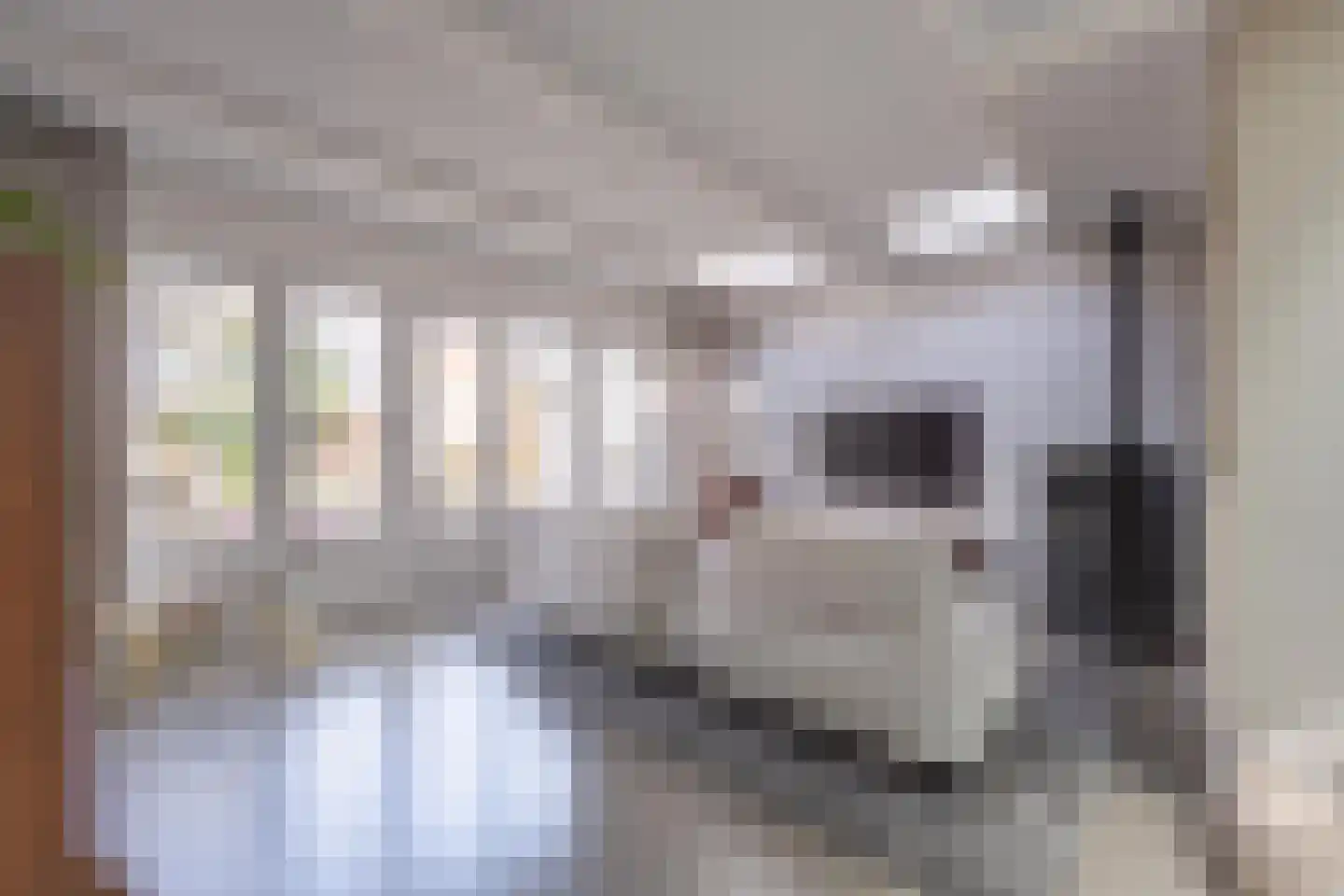 Konijnenwal 28 Tiel thumbnail 30