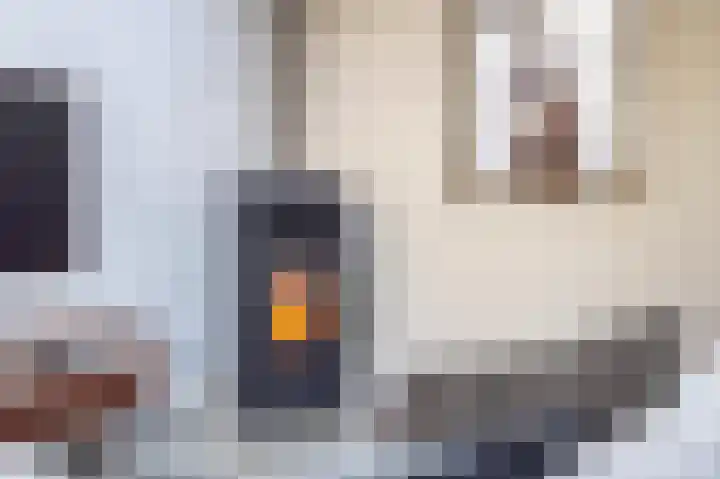 Konijnenwal 28 Tiel thumbnail 32