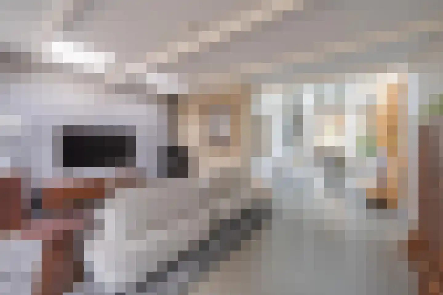 Konijnenwal 28 Tiel thumbnail 33