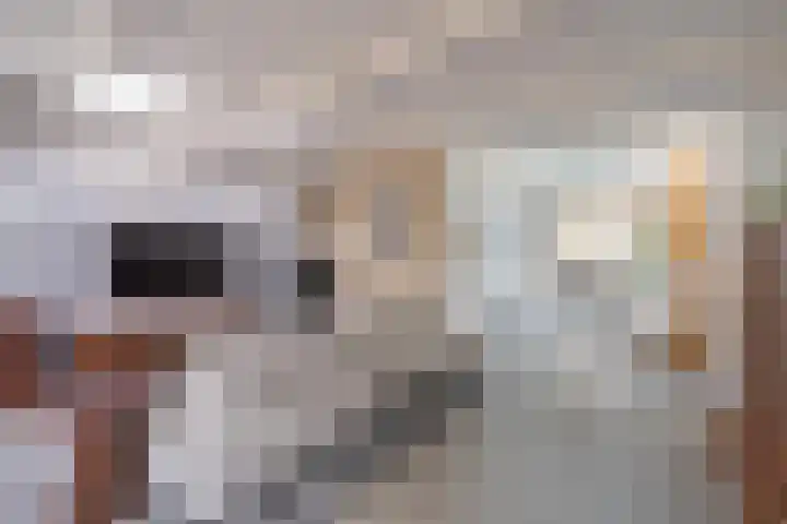 Konijnenwal 28 Tiel thumbnail 33