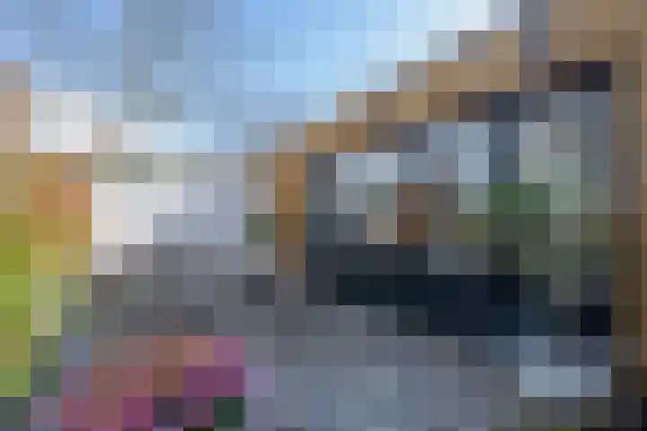 Konijnenwal 28 Tiel thumbnail 37