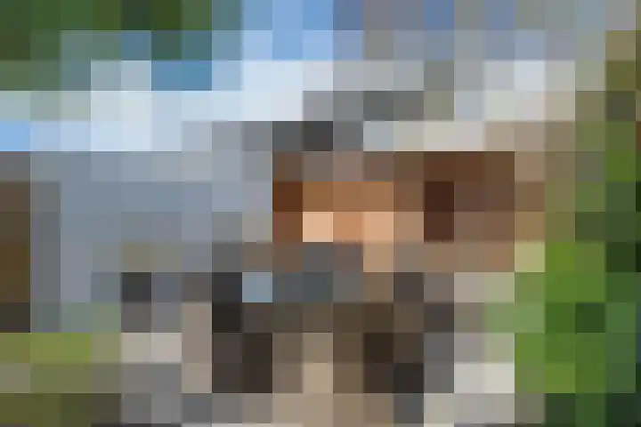 Konijnenwal 28 Tiel thumbnail 42