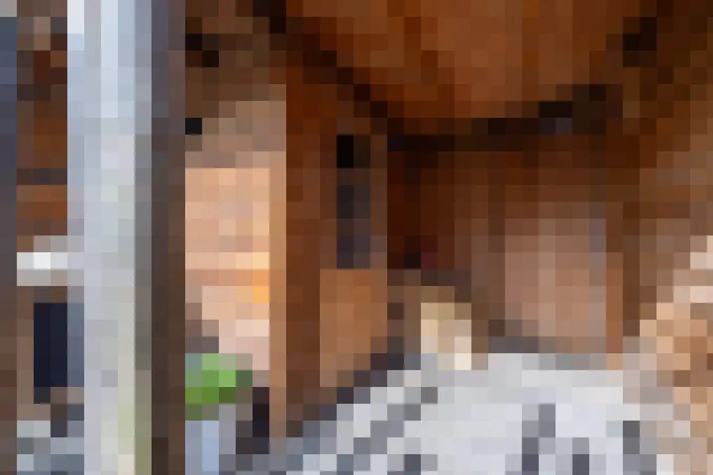 Konijnenwal 28 Tiel thumbnail 43