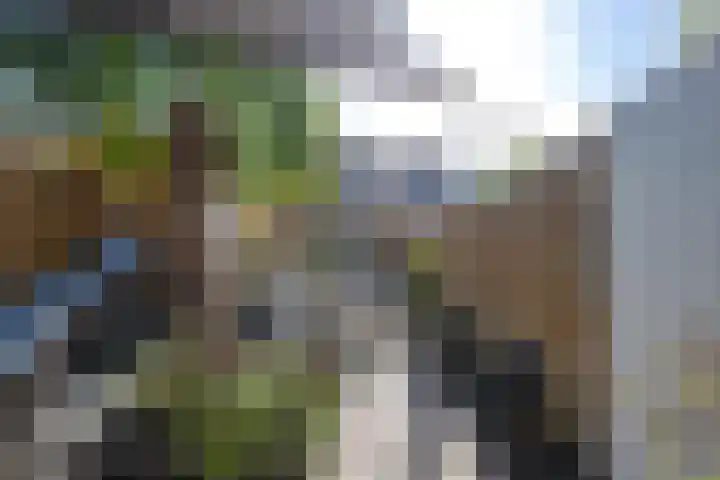 Konijnenwal 28 Tiel thumbnail 45