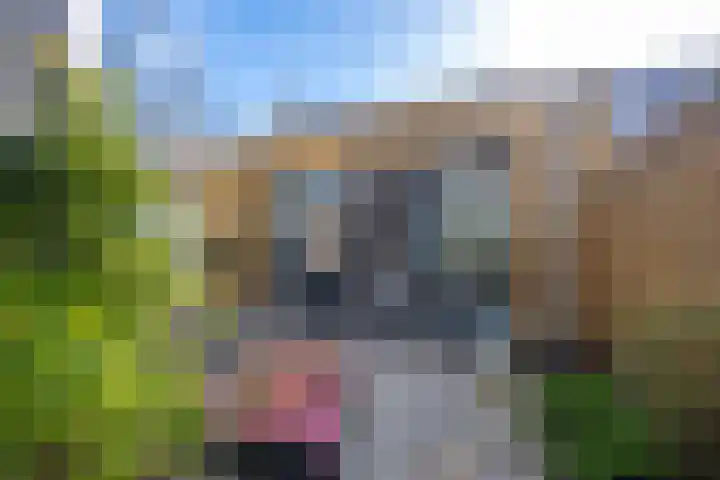 Konijnenwal 28 Tiel thumbnail 46