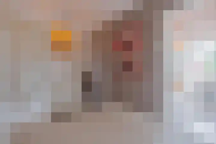 Konijnenwal 28 Tiel thumbnail 47