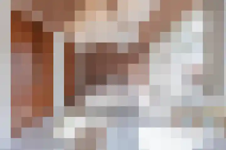 Konijnenwal 28 Tiel thumbnail 50