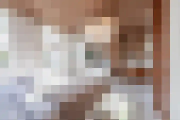 Konijnenwal 28 Tiel thumbnail 51