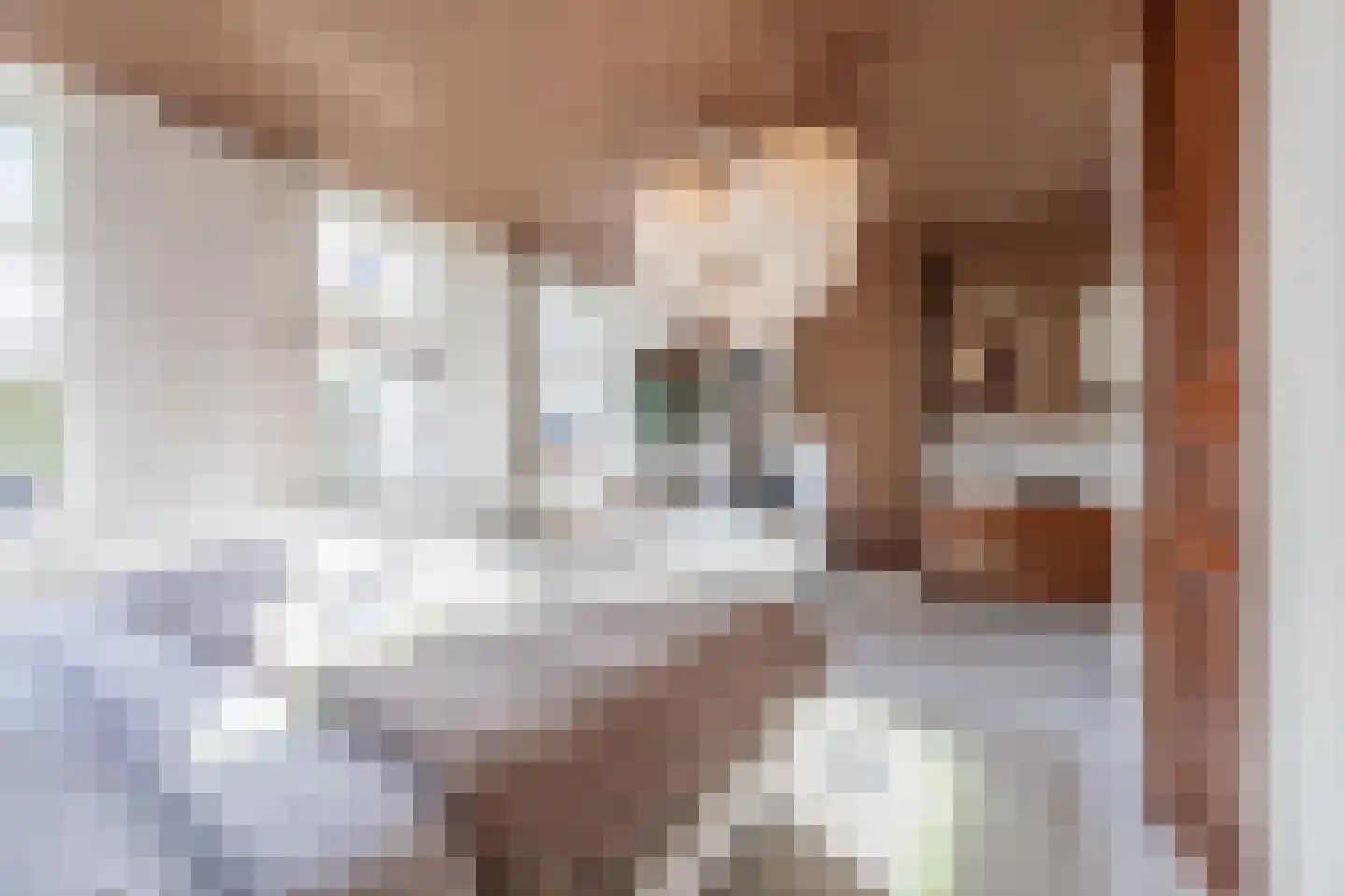 Konijnenwal 28 Tiel thumbnail 51