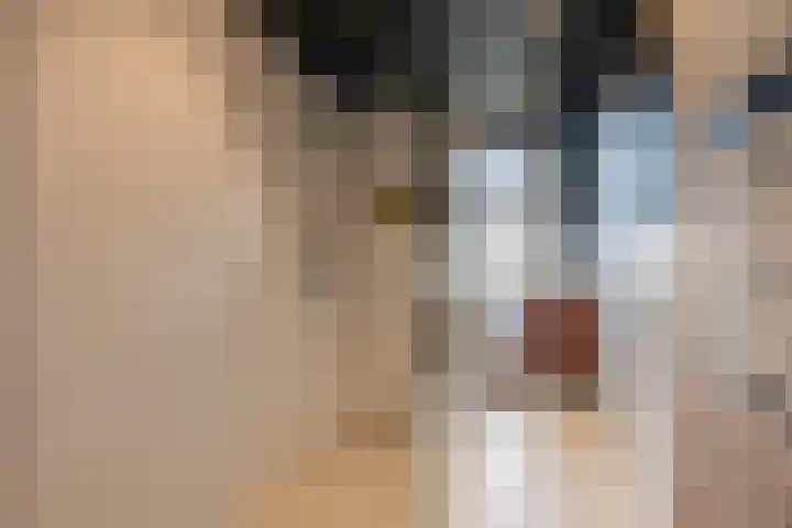 Konijnenwal 28 Tiel thumbnail 54