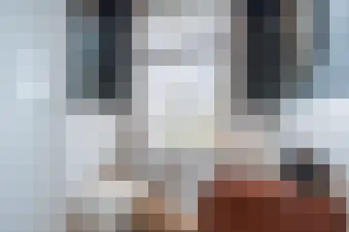 Konijnenwal 28 Tiel thumbnail 55