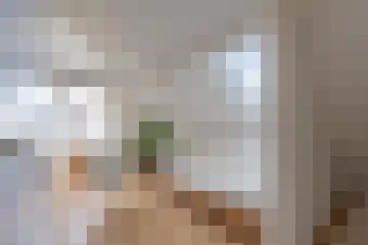 Konijnenwal 28 Tiel thumbnail 59