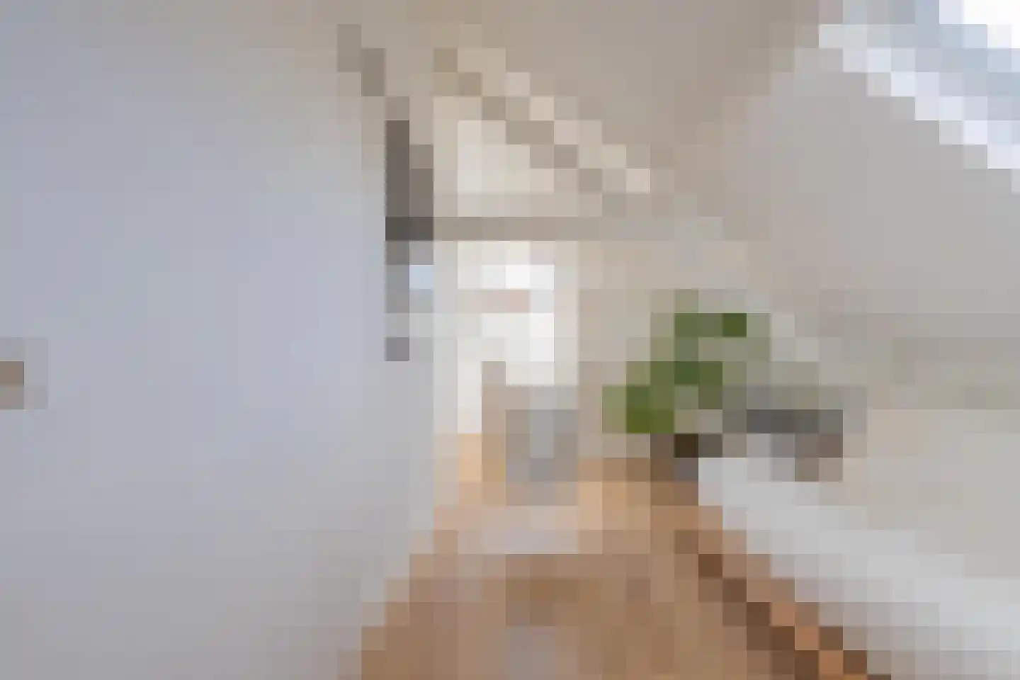 Konijnenwal 28 Tiel thumbnail 61