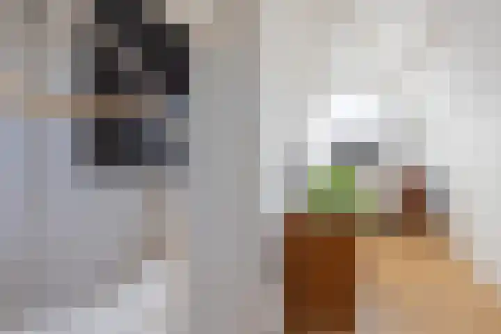 Konijnenwal 28 Tiel thumbnail 62