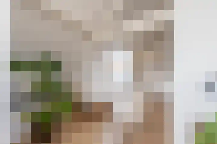 Konijnenwal 28 Tiel thumbnail 63