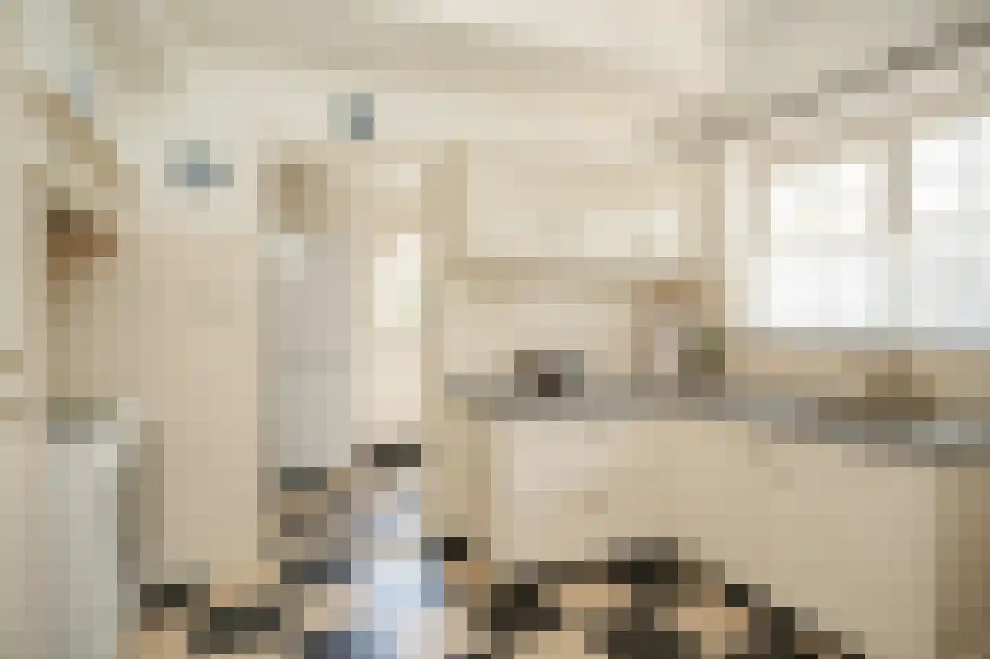 Konijnenwal 41 Tiel thumbnail 11