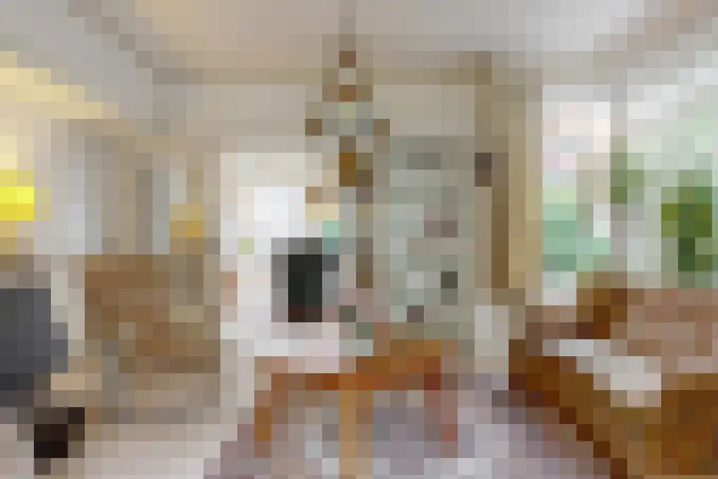 Konijnenwal 41 Tiel thumbnail 12