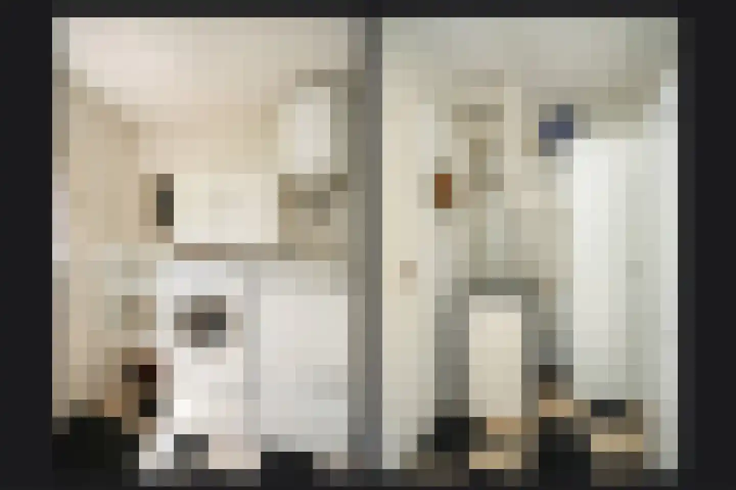 Konijnenwal 41 Tiel thumbnail 14