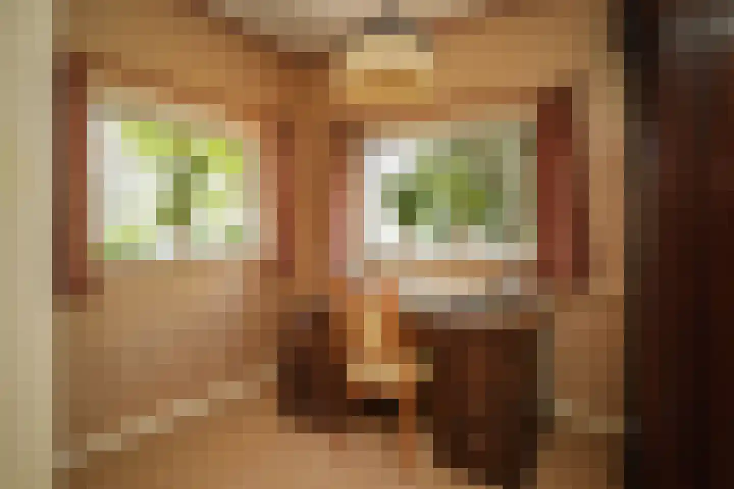 Konijnenwal 41 Tiel thumbnail 15