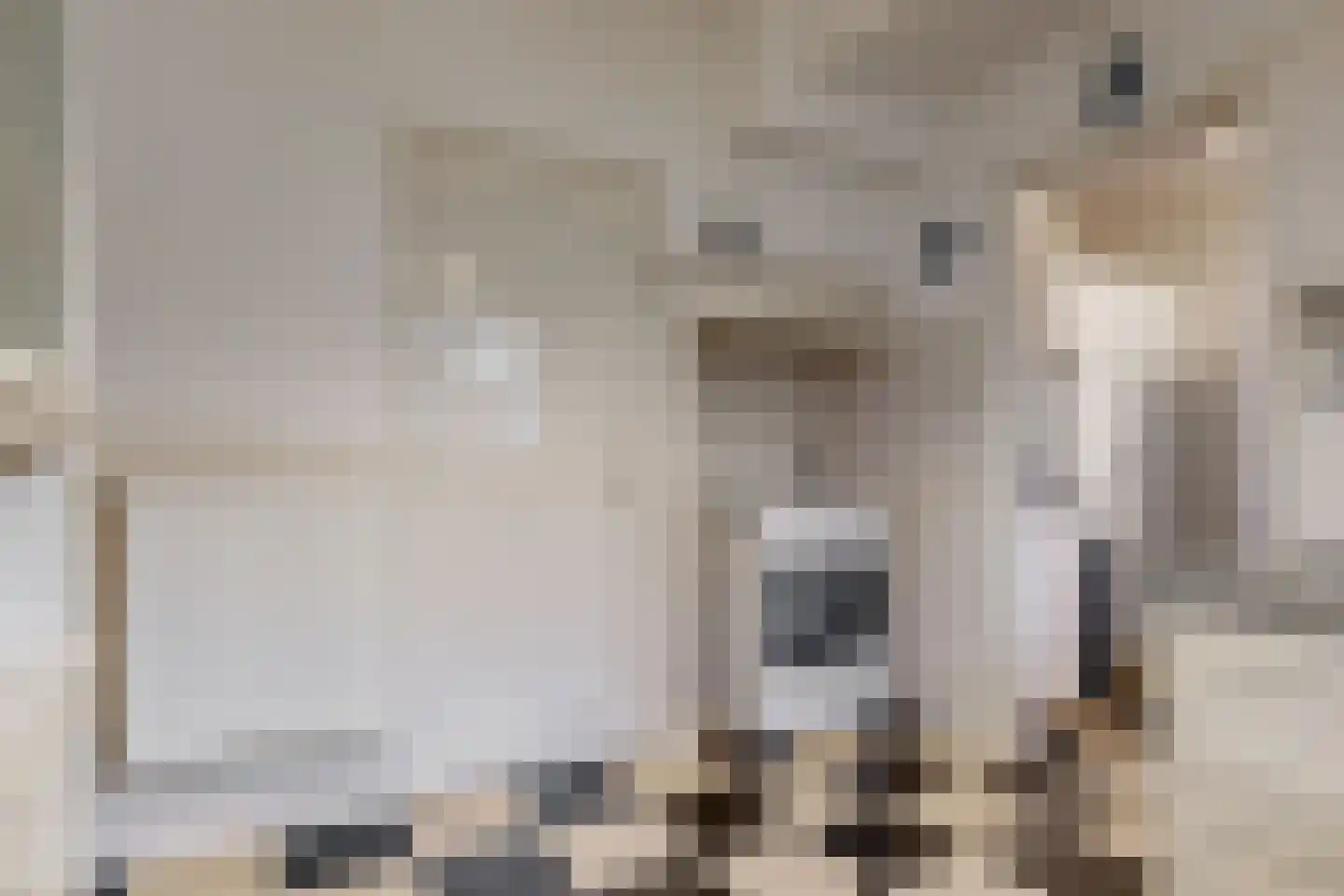 Konijnenwal 41 Tiel thumbnail 16