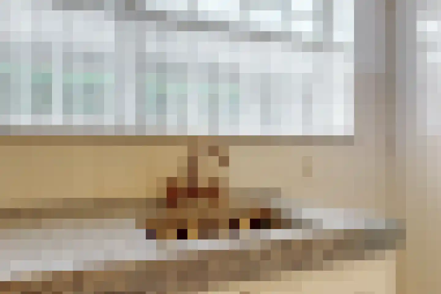Konijnenwal 41 Tiel thumbnail 17