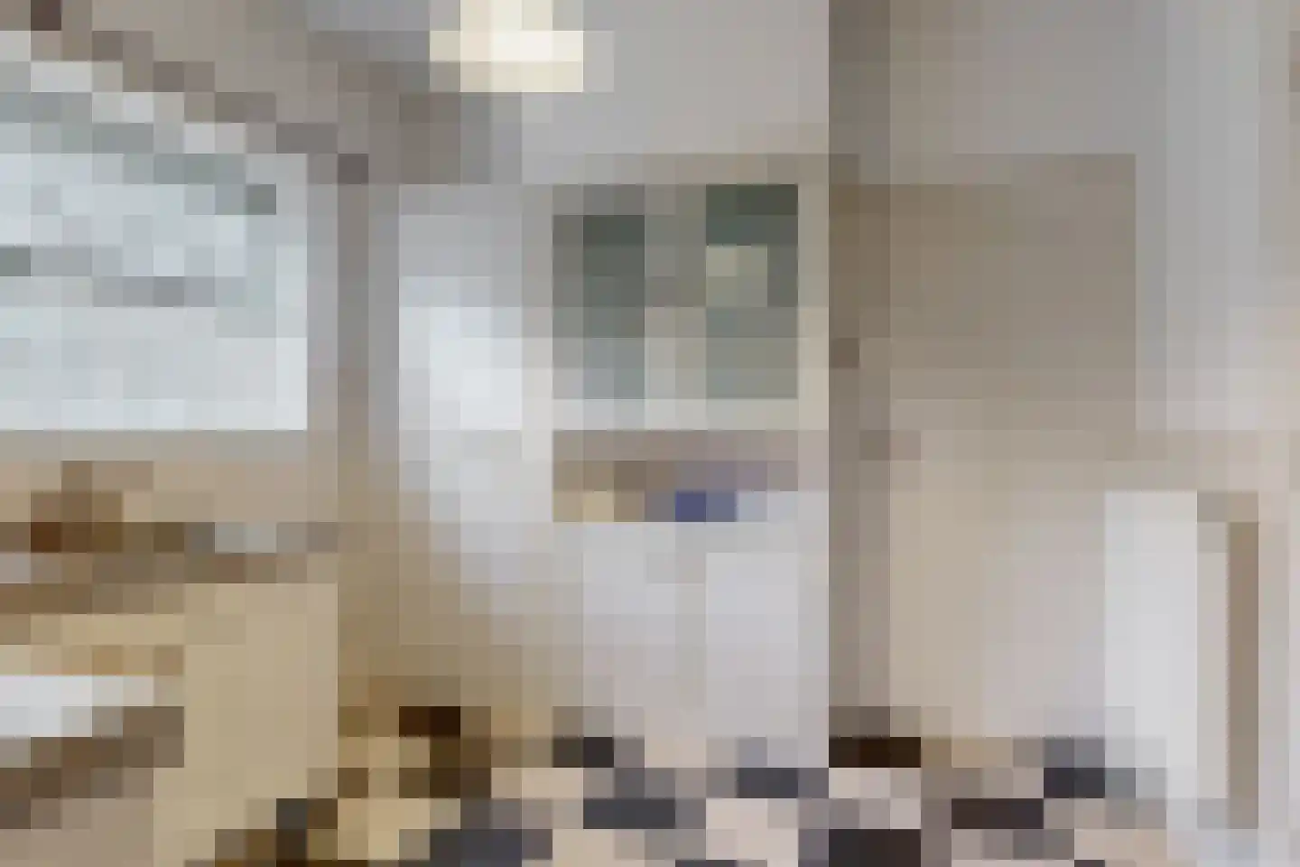 Konijnenwal 41 Tiel thumbnail 18