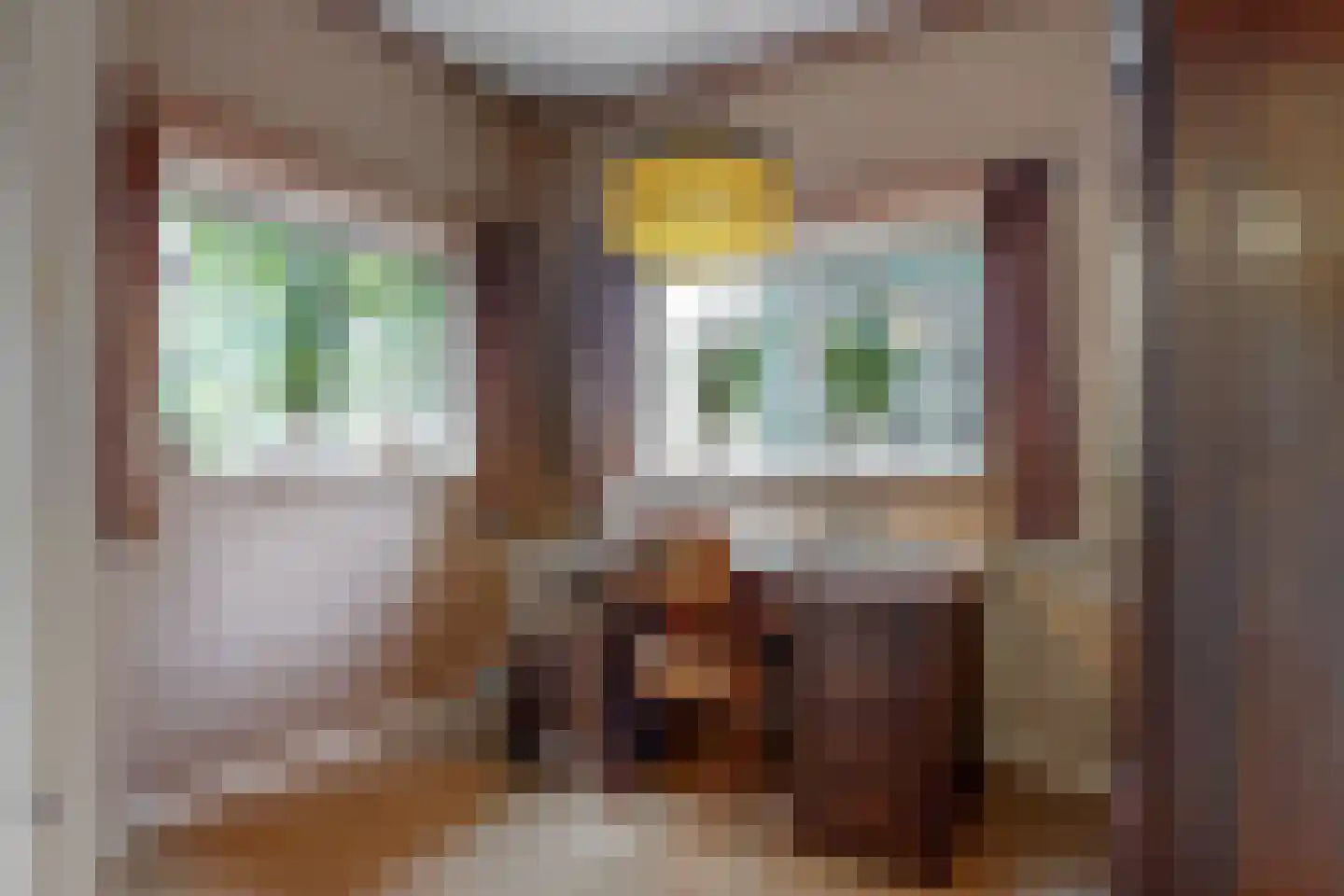 Konijnenwal 41 Tiel thumbnail 20