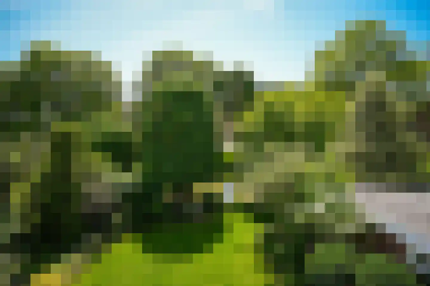 Konijnenwal 41 Tiel thumbnail 24