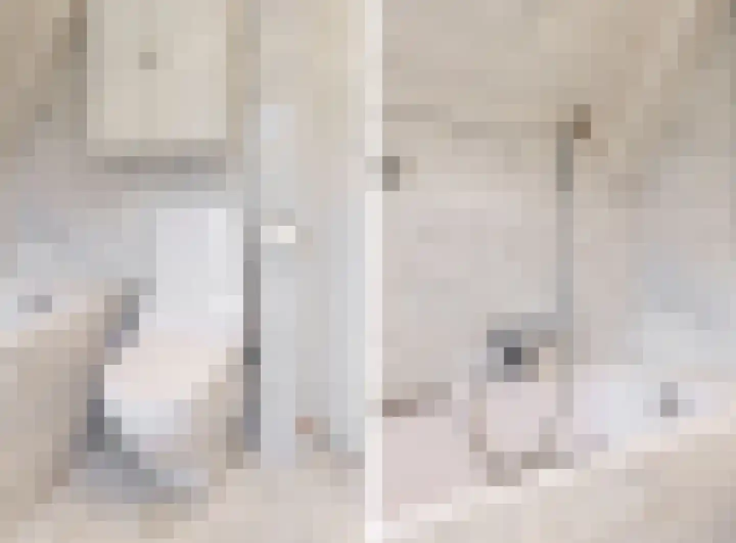 Konijnenwal 41 Tiel thumbnail 32