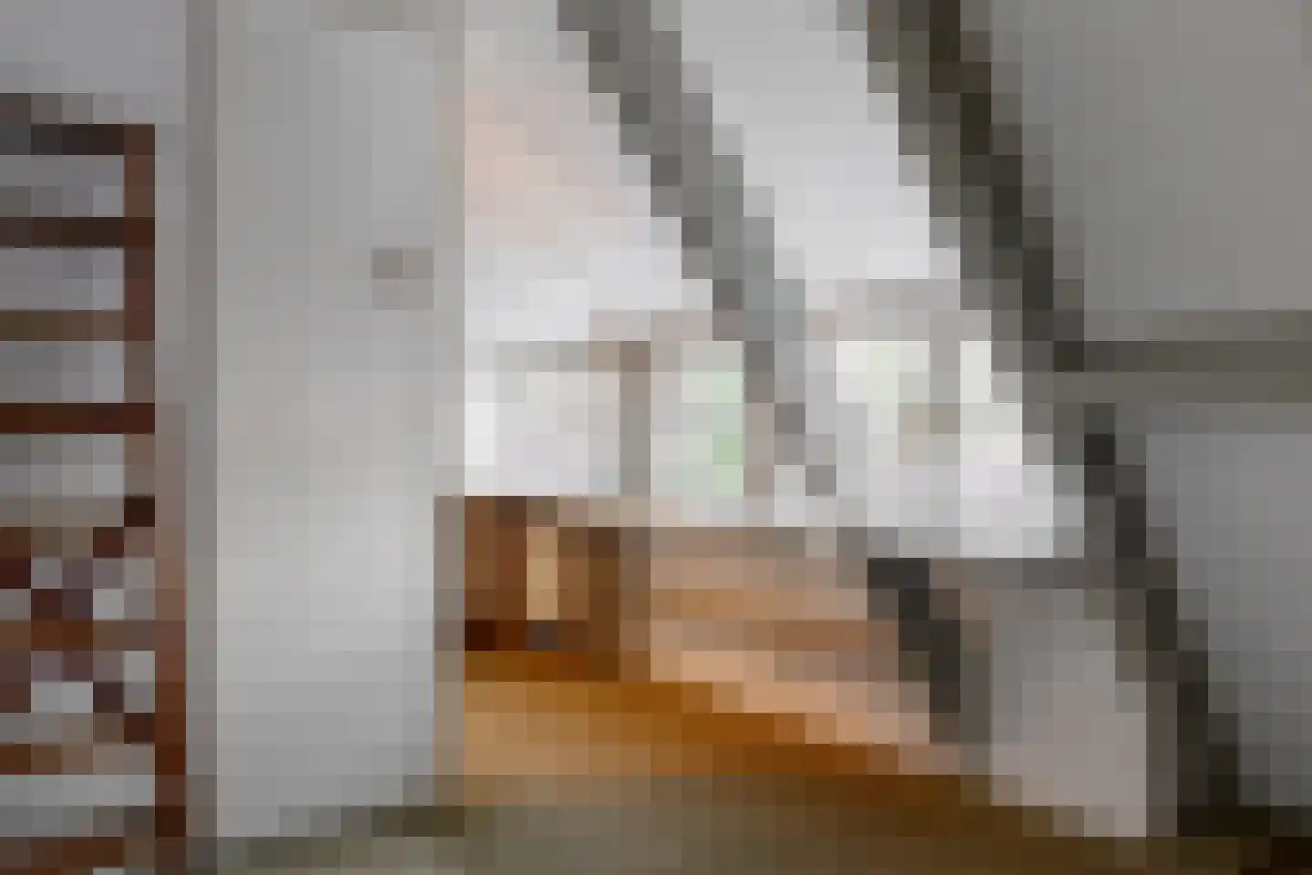 Konijnenwal 41 Tiel thumbnail 33