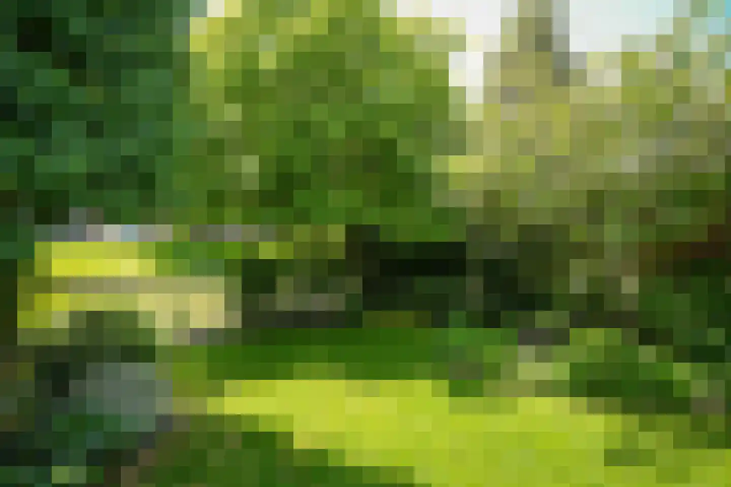 Konijnenwal 41 Tiel thumbnail 39