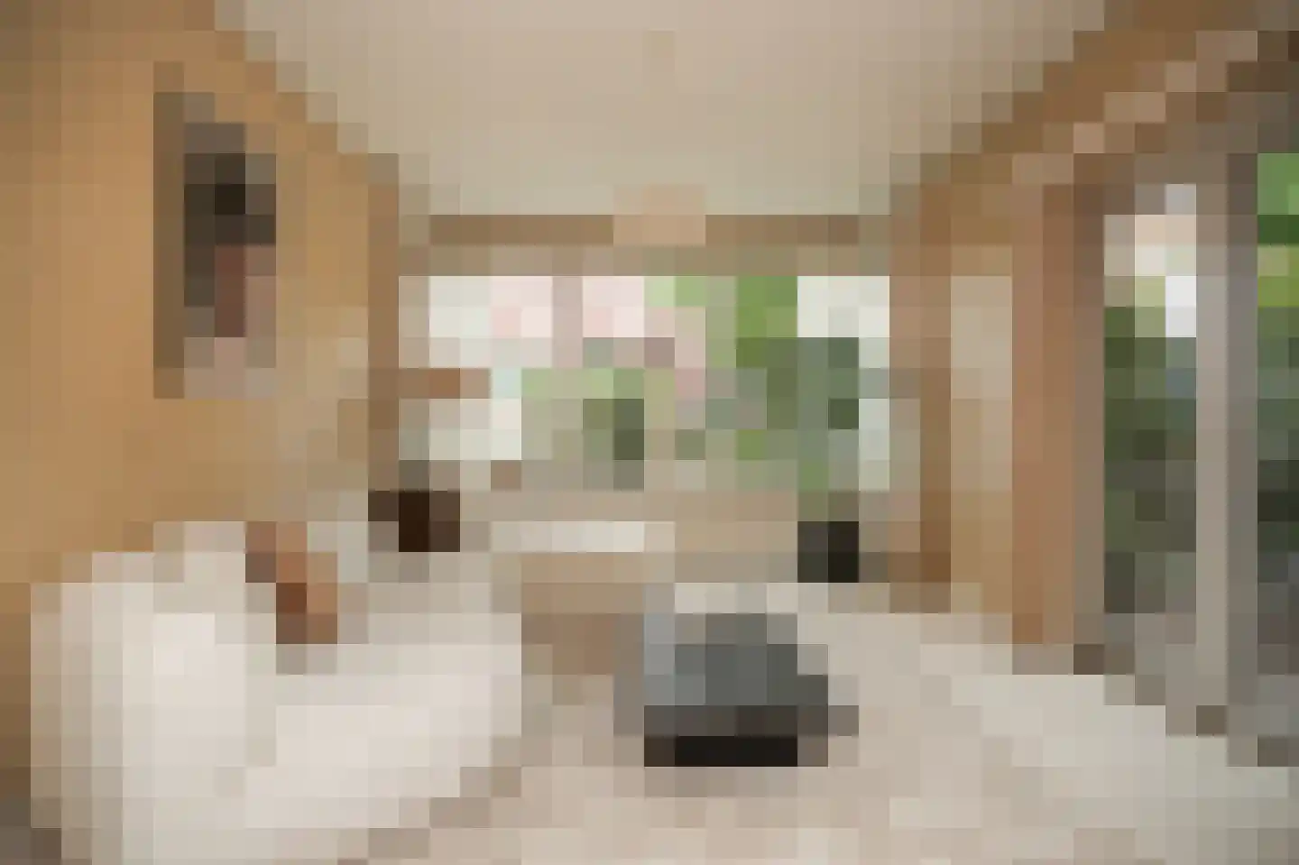 Konijnenwal 41 Tiel thumbnail 4