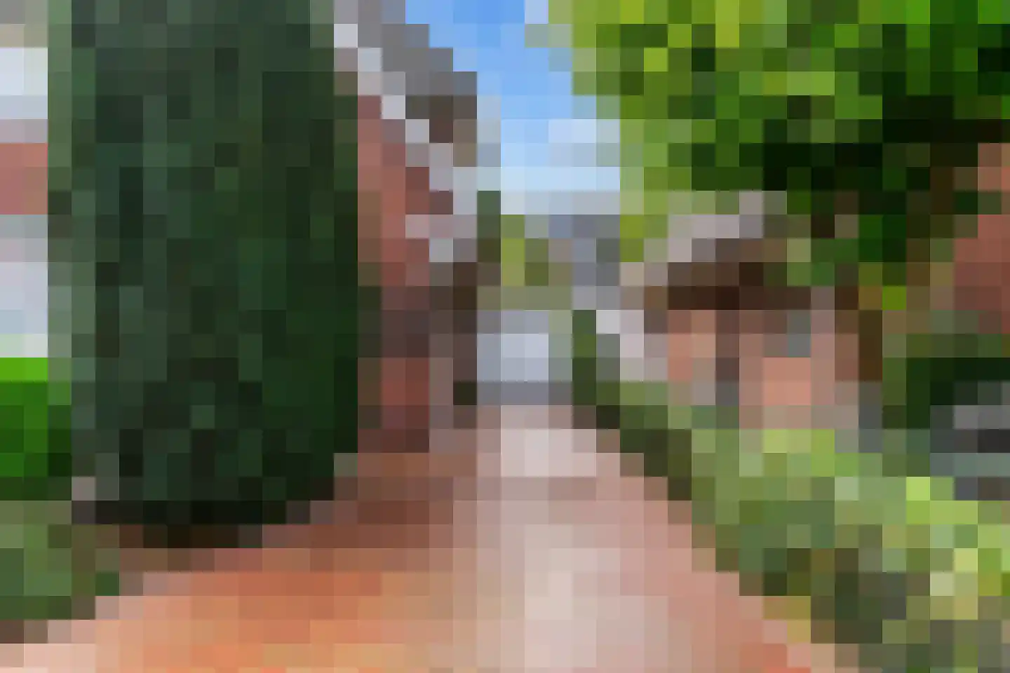 Konijnenwal 41 Tiel thumbnail 4