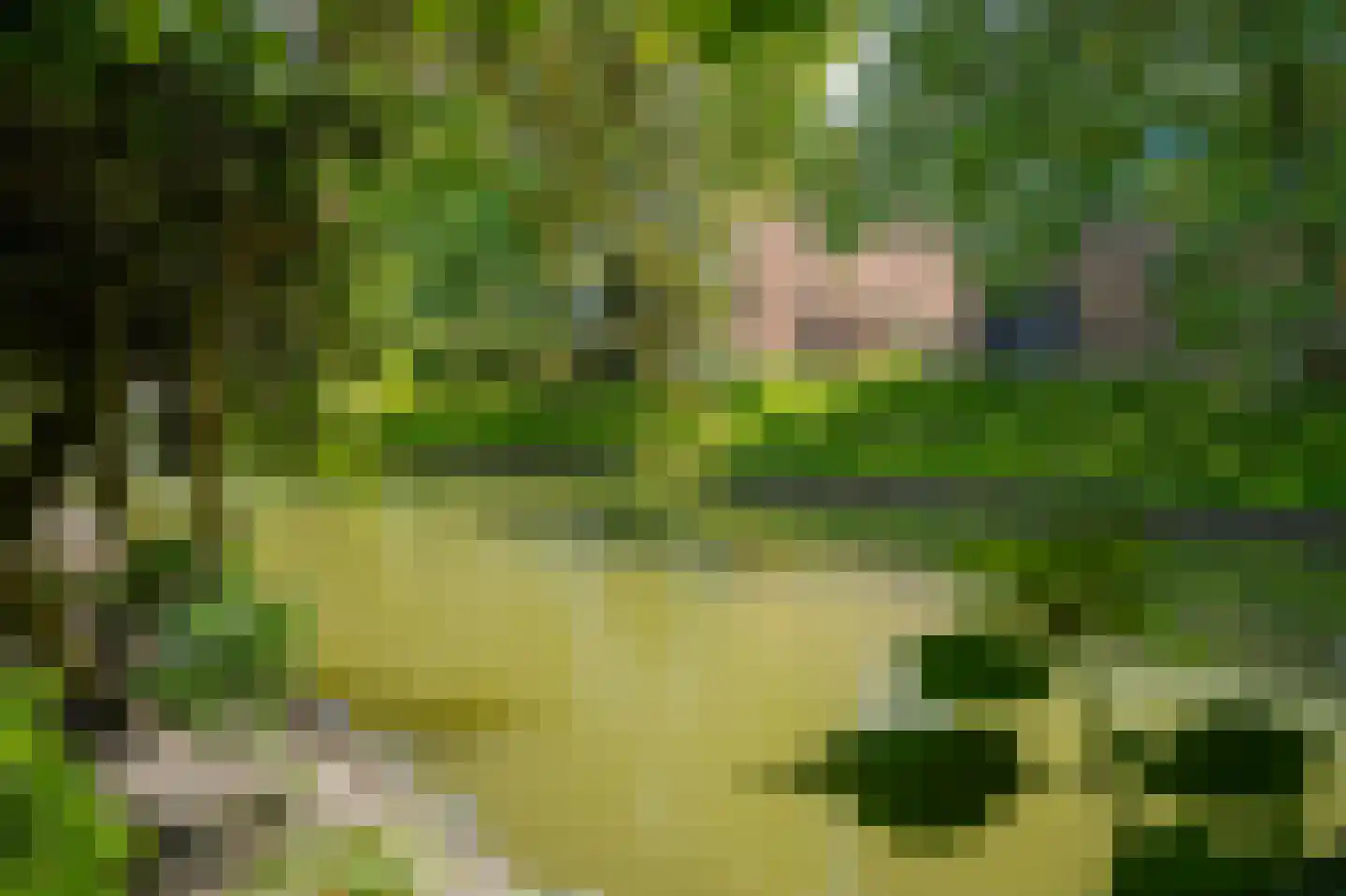 Konijnenwal 41 Tiel thumbnail 40