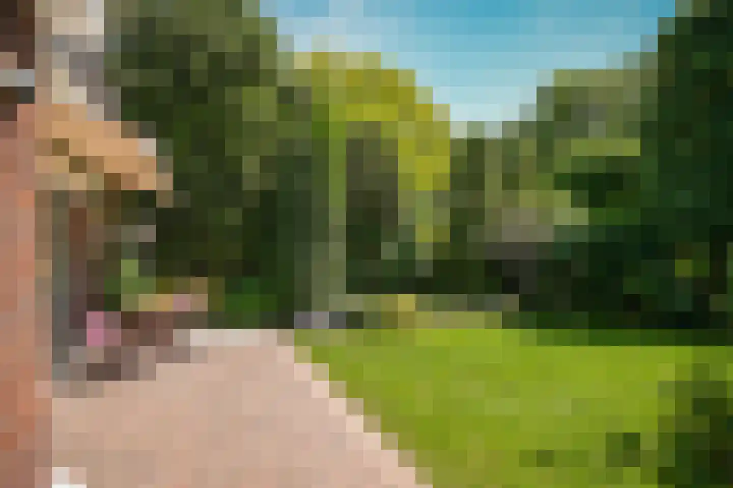 Konijnenwal 41 Tiel thumbnail 42