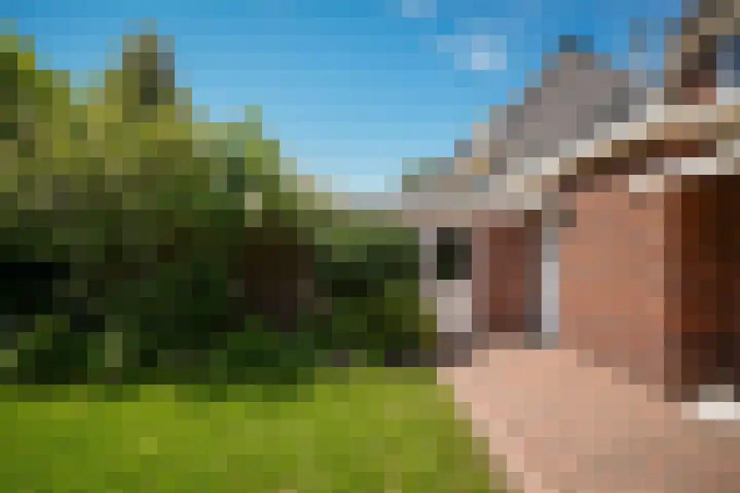Konijnenwal 41 Tiel thumbnail 44