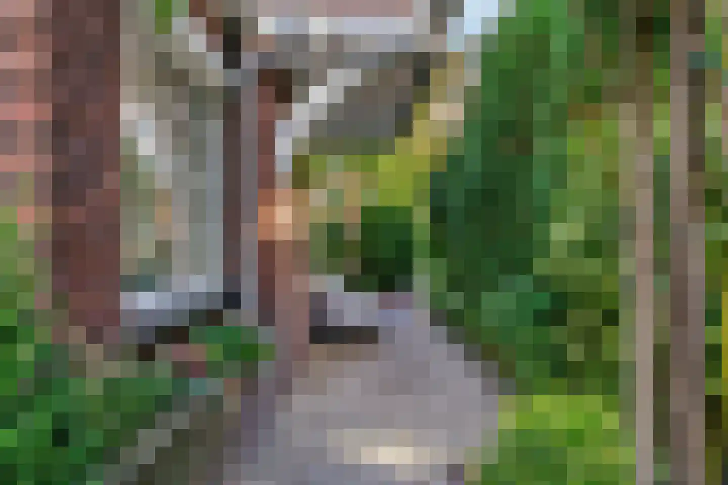 Konijnenwal 41 Tiel thumbnail 48