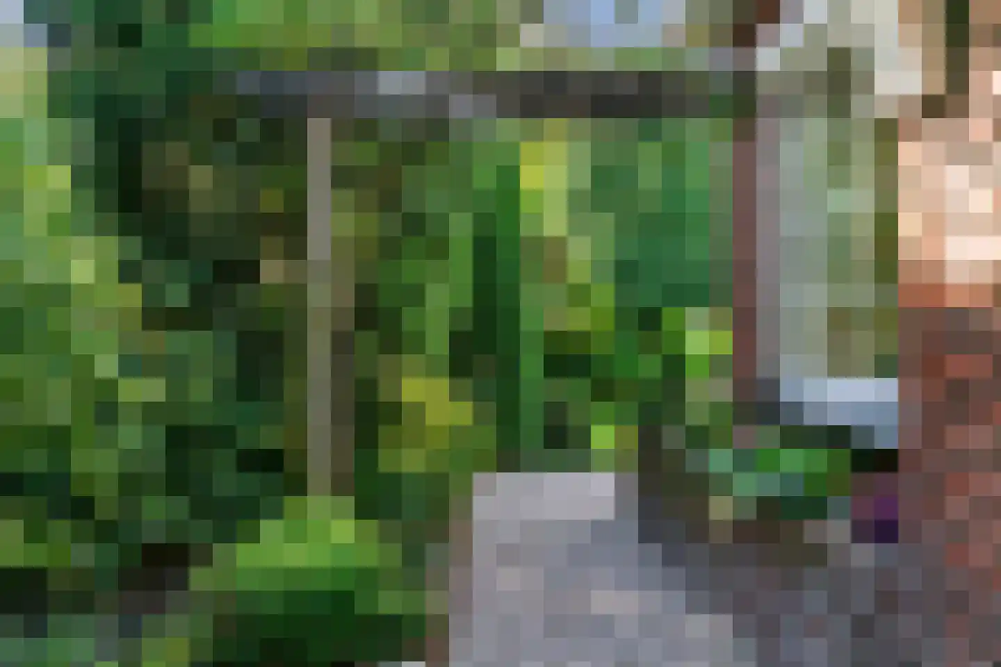 Konijnenwal 41 Tiel thumbnail 49