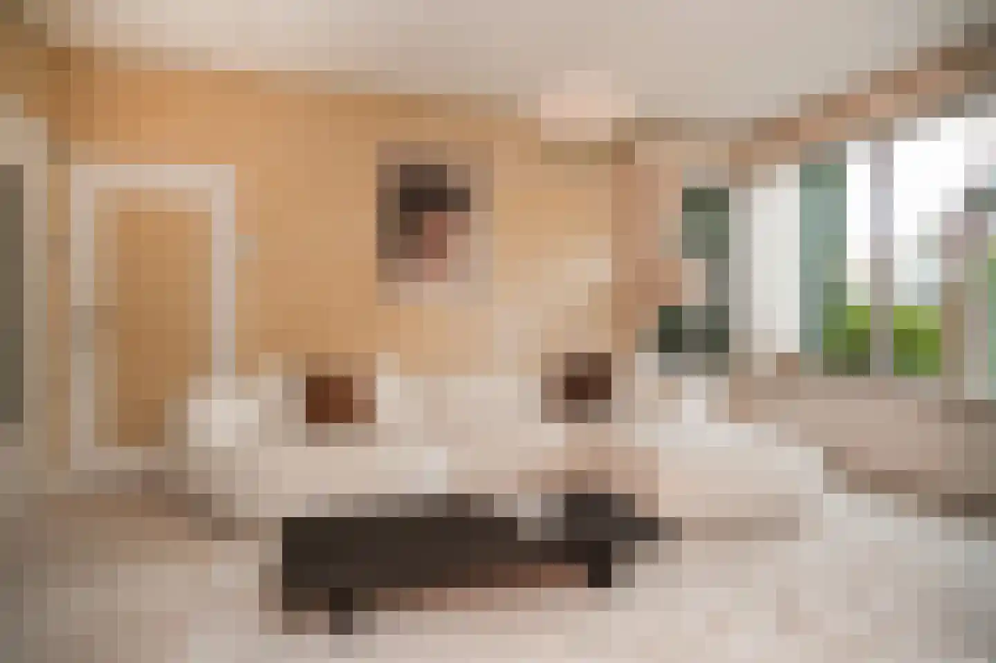 Konijnenwal 41 Tiel thumbnail 5
