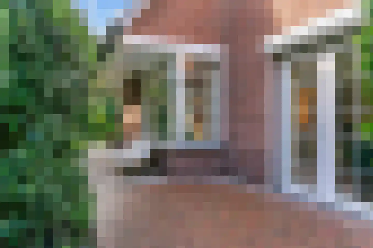 Konijnenwal 41 Tiel thumbnail 50