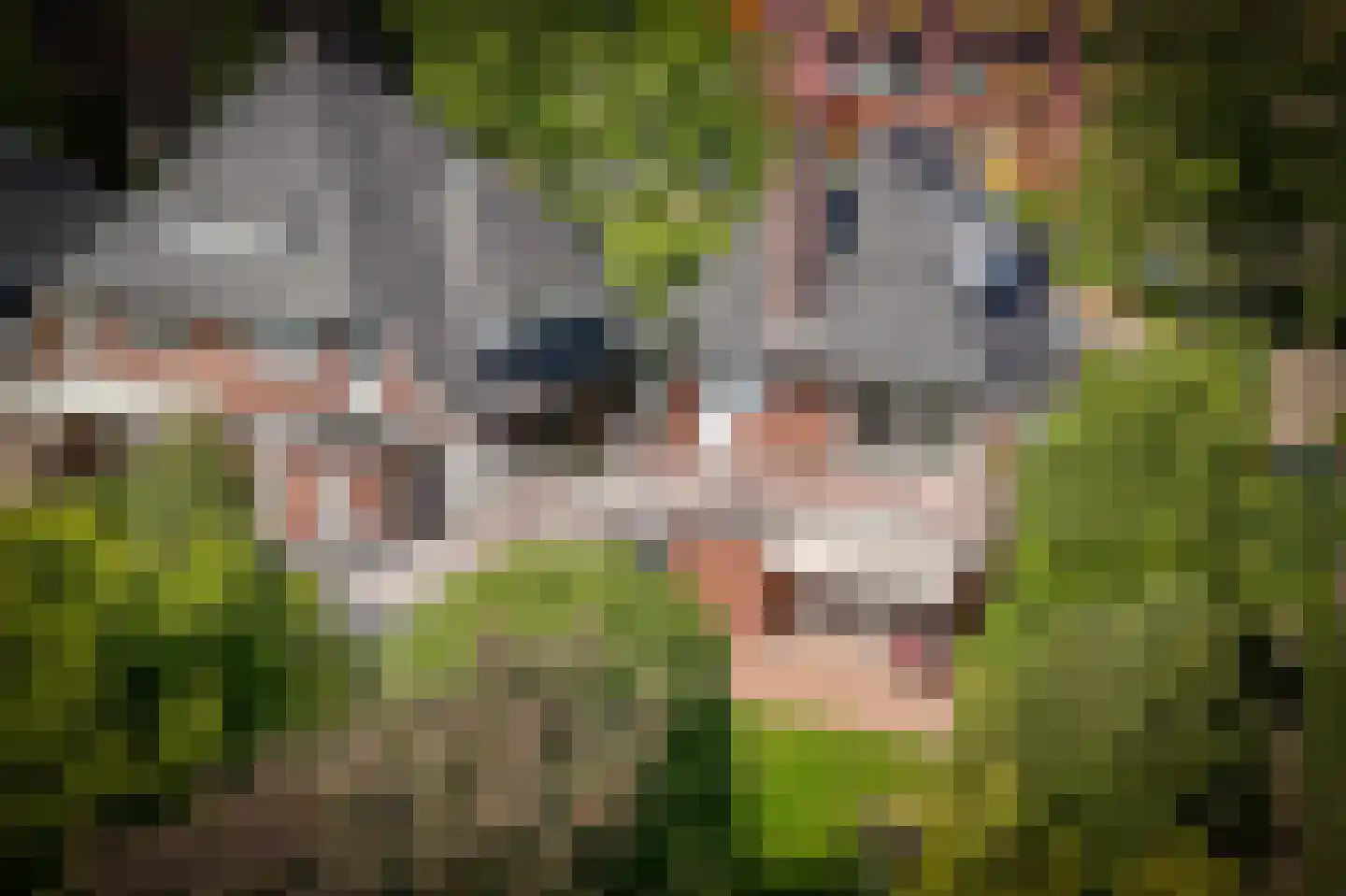 Konijnenwal 41 Tiel thumbnail 51