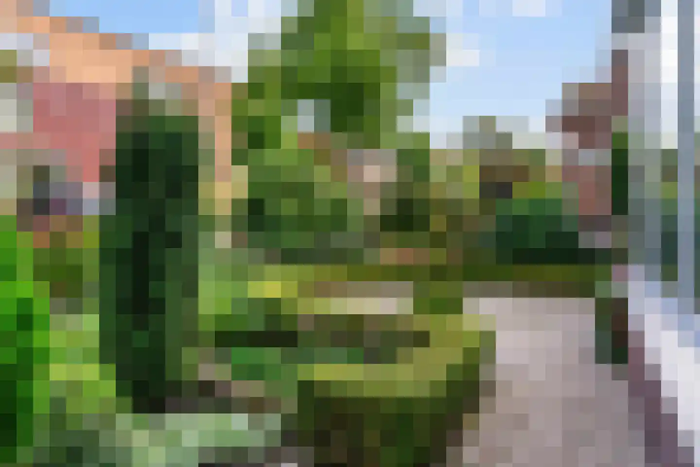 Konijnenwal 41 Tiel thumbnail 52
