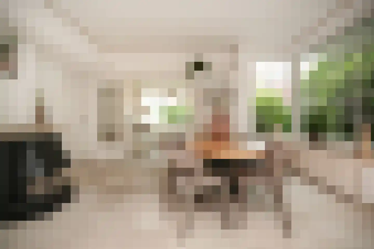Konijnenwal 41 Tiel thumbnail 6