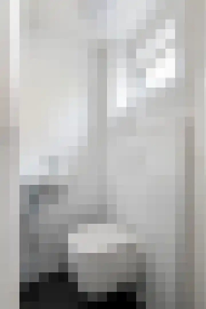 Konijnenwal 42 Tiel thumbnail 10