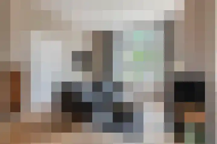 Konijnenwal 42 Tiel thumbnail 16