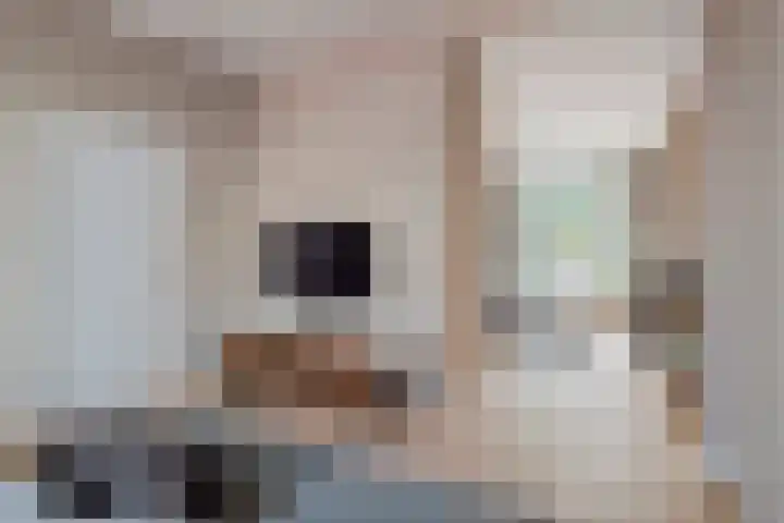 Konijnenwal 42 Tiel thumbnail 18