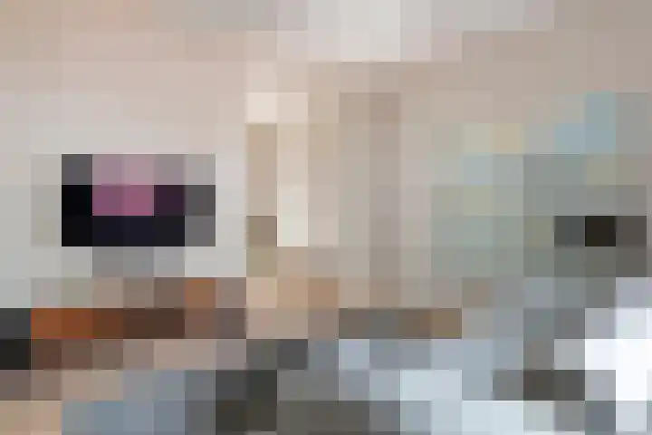 Konijnenwal 42 Tiel thumbnail 19