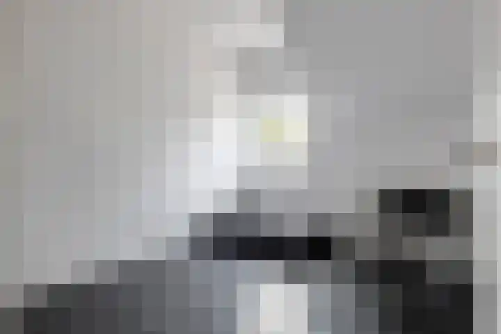 Konijnenwal 42 Tiel thumbnail 24