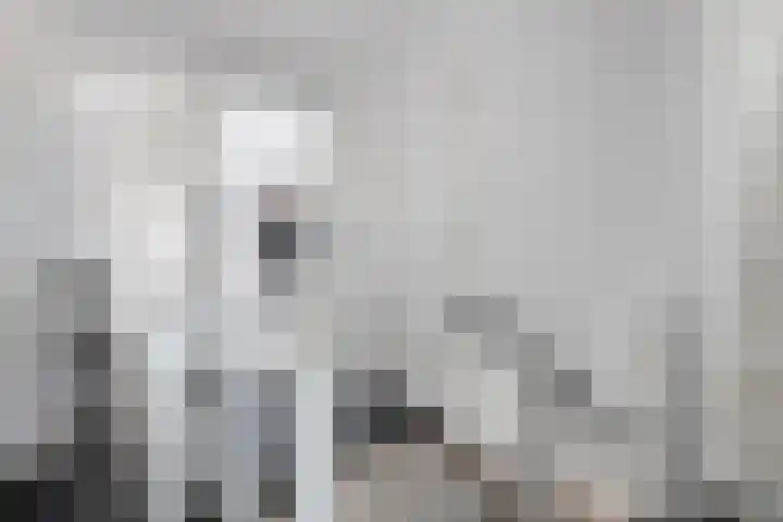 Konijnenwal 42 Tiel thumbnail 26
