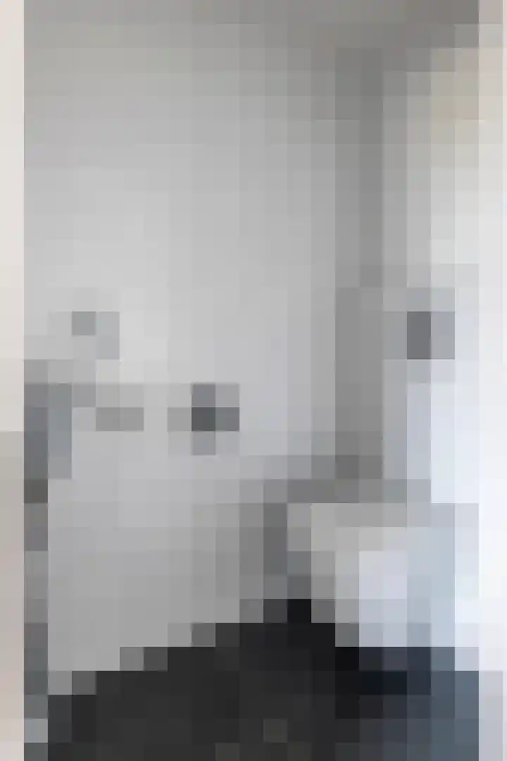 Konijnenwal 42 Tiel thumbnail 30
